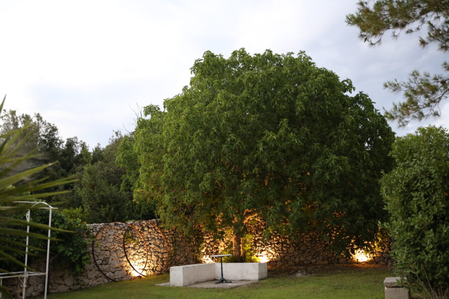 Masseria Luci Holiday Home Puglia Salento