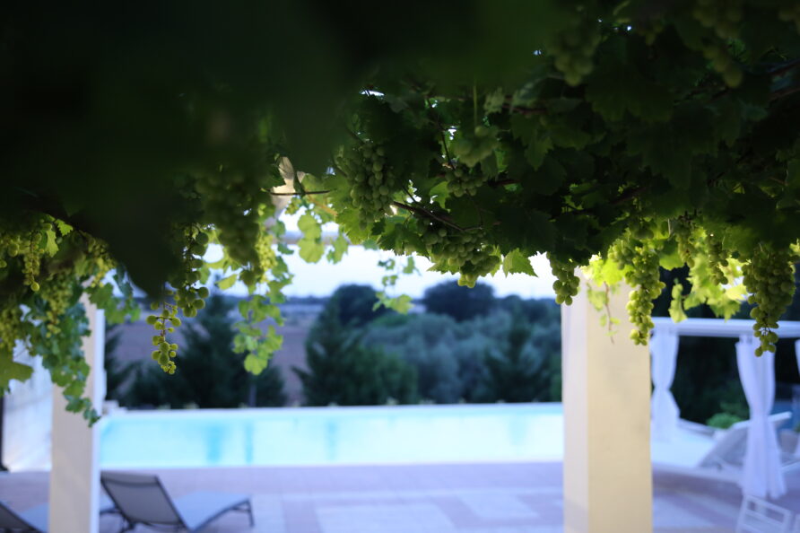 Masseria Luci Holiday Home Puglia Salento